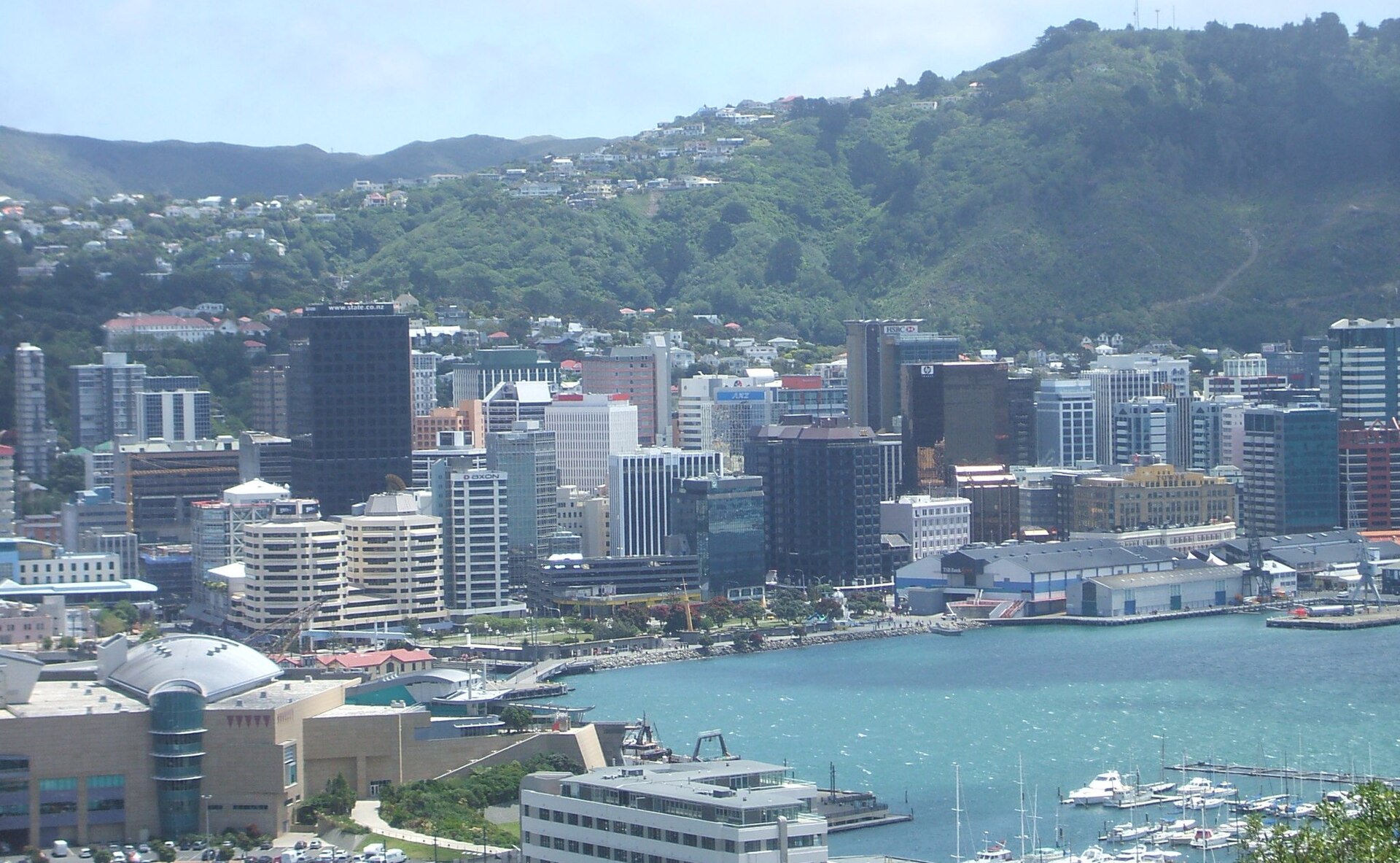 Wellington downtown and harbour from Mount Victoria